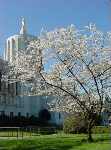Quelle est la capitale de l'Oregon ?