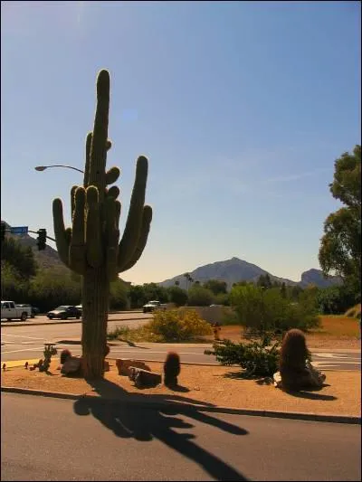 Quelle est la capitale de l'Arizona ?