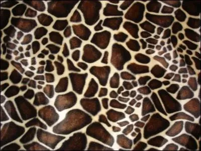 Quel animal exhibe cette fourrure ?