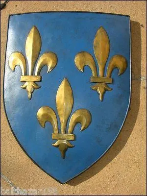 La fleur de lys devient l'emblme de la monarchie franaise ds le rgne de de Clovis.