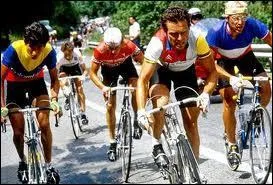 Qui dirigeait Bernard Hinault dans l'quipe La Vie Claire ?