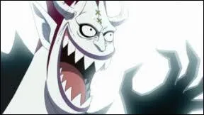 Quel est le pouvoir de son fruit du dmon ?