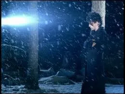 Qui a interprété la chanson 'un singe en hiver' ?