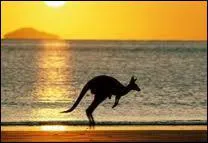 Quand commence l'hiver en Australie ?