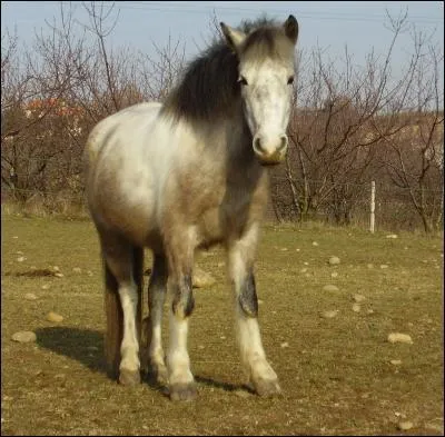 Quelle est cette couleur ?