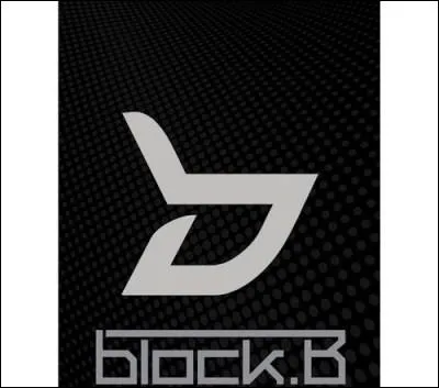 Comment s'appelle leur premier album ?