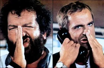 (NT1) Que sont Bud Spencer et Terrence Hill dans cette comdie italienne d'Enzo Barboni ?