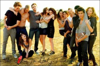 Twilight a t crit avant ou aprs Journal d'un Vampire ?