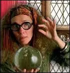 Lorsque Harry lit dans les feuilles de th, et qu'il voit un gland, que cel signifie-t-il ?