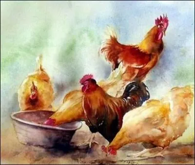 Quel animal ne trouve-t-on normalement pas dans une basse-cour ?