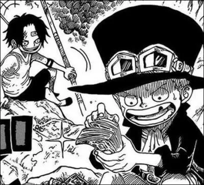 Qui sont Ace et Sabo pour Luffy ?