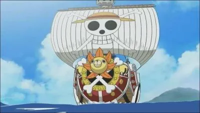 Qui a protg le Thousand Sunny durant l'entrainement de l'quipage ?