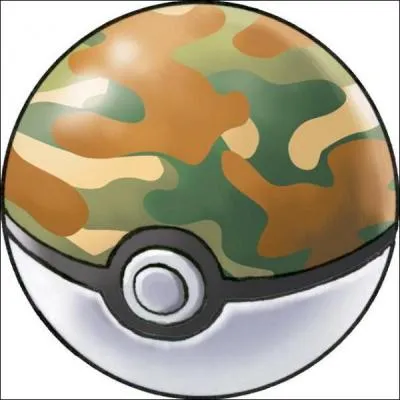 Quel est le nom de cette Ball ?