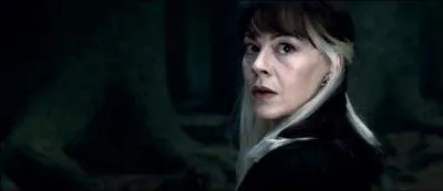 Comment se nomme le fils de Narcissa ?