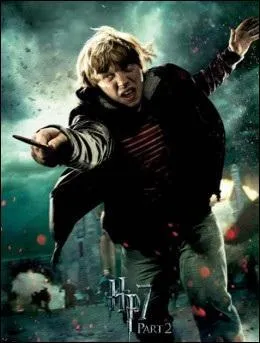 Comment s'appelle ce sorcier parfois trs intelligent ?