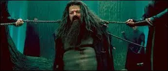 Que regarde Hagrid ?