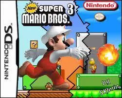 Dans New Super Mario Bross 3, sur quoi sommes-nous dans les chteaux de fin de monde ?