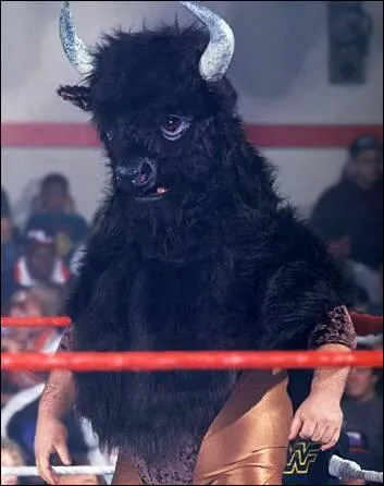 Qui est ce catcheur ?