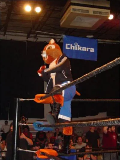 Qui est ce catcheur ?