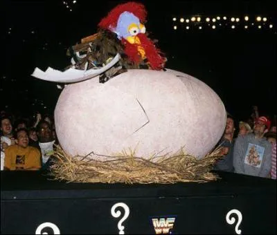 Qui est ce catcheur ?