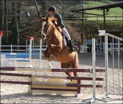 Les phases de saut sont dans l'ordre :