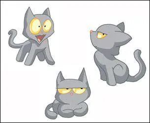 Comment s'appelle le chat ?