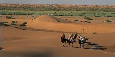 Le désert de Gobi s'étend en Mongolie et en Chine.