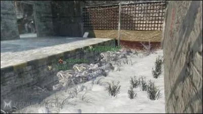 Quelle est cette map de ' Call of Duty : Black Ops ' ?