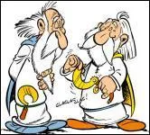 Dans quelle fort se runissent les druides, chaque anne, pour montrer leurs nouveaux exploits ?