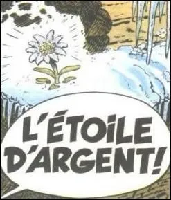 Quel est le nom de cette fleur, pour laquelle Astrix et Oblix sont partis en Helvtie (Suisse) ?