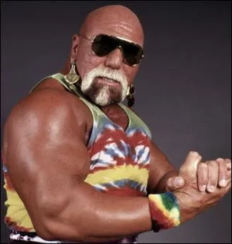 Qui est ce catcheur ?