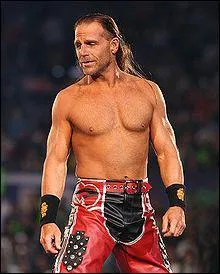 Quel est le finisher de Shawn Michaels ?