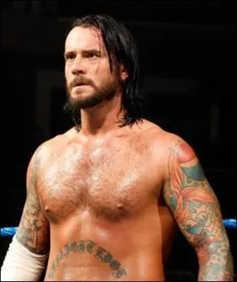 Quel est le finisher de CM Punk ?