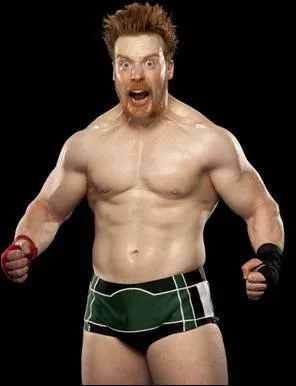 Quels sont les Finishers de Sheamus ?