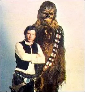 De quelle plante vient-il ?