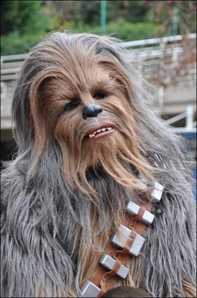 Il est un personnage de quel film ?