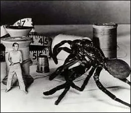 (Cin FX) Pour quelle raison l'homme rtrcit-il dans 'L'homme qui rtrcit' ? Car il a t victime :