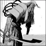 A qui appartient ce bankai ?