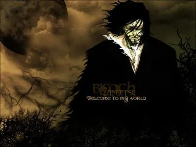 De qui est-il le zanpakut ?