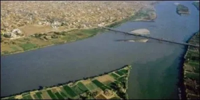 Les deux branches du Nil, le Nil Blanc et le Nil Bleu, se réunissent en Egypte.