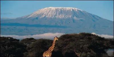 Quelle est l'altitude du mont Kilimandjaro ?