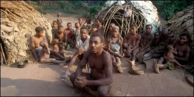 Quelle ethnie nomade vit dans les forêts d'Afrique centrale ?