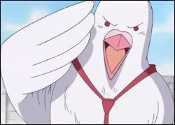 Comment s'appelle le pigeon de Lucci ?