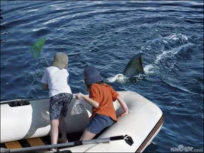 A quel film de Steven Spielberg peut vous faire penser cette image ?