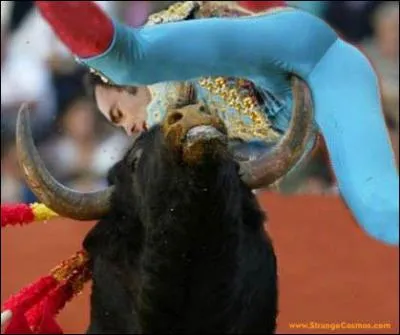 Et tout le monde crie... .