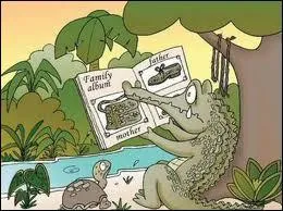Ce crocodile regarde des images de valises, sacs, ceintures, chaussures, quel livre regarde-t-il-il ?