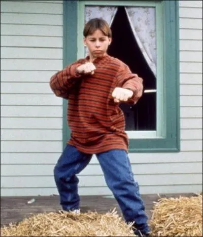 (RTL9) Compltez le titre de ce film : 'Les ____ ninjas se rvoltent'.