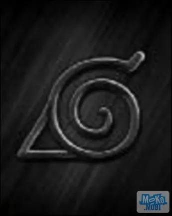 Encore dans Naruto : qui devient en premier ninja de moyenne classe ?