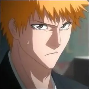Dans Bleach : Ichigo Kurosaki est ...