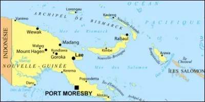 Quel État partage une grande île avec l'Indonésie, situé sur plusieurs plaques tectoniques, pays le plus multilingue du monde avec plus de 800 langues pour moins de 6 millions d'habitants ?